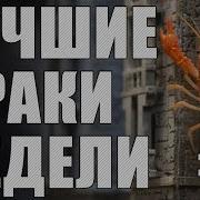 Лрн Выпуск 9 Лучшие Раки Недели