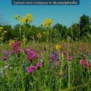 Музыка Из Фильма Каникулы Строгого Режима Дорога Цветов