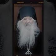 Жизнь Маленькой Православной
