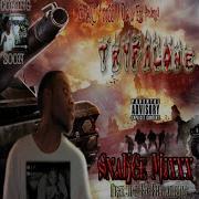 Stay Or Go Tryf Bindope