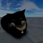 Maxwell The Cat 5 Minutes