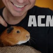 Асмр Для Сна Asmr Box