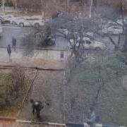 Прикол Узбеки Закинули Веник На Дерево