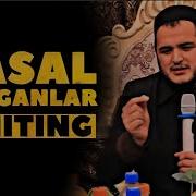 Kasal Bulganlar Hushhabar