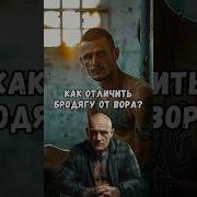 Кто Такой Бродяга На Зоне