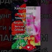Хаммага Хайрли Тонг
