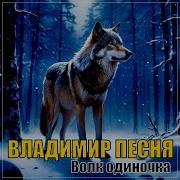 Владимир Песня Волк Одиночка