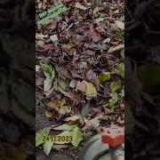 Осень Заканчивается