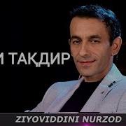 Паррандаҳои Мусофир