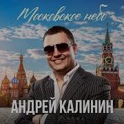 Девчоночка Красивая На Ауди Тт
