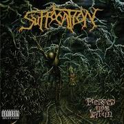 Suffocation Breeding The Spawn Pierced Version