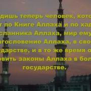 Шейх Аль Альбани Как Нам Правильно Устанавливать Халифат