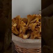 Помой Пизду Пизда