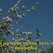 Лучше Нету Того Цвету Караоке