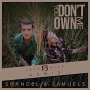 Shandel Samuels You Don T Own Me Fred Beck Remix