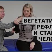 Рефлексы Знаний 19 Старость