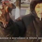 Крыса Хорошая Красивая