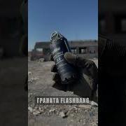 Светошумовая Граната