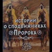 Вахши Ибн Харб