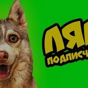 Хаски Бублик Клип На Миллион