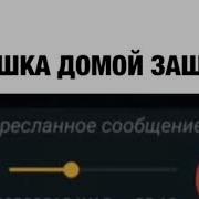 Барашик Домой Забежал