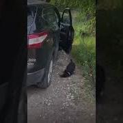 Наконец То Я Приехал На Свою Дачу