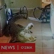 Мирзабик Холиков Ота Хакида Шир