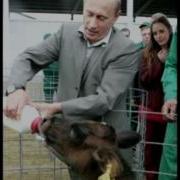 У Владимира Путина Сосет Телка Mp4