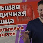 Массаж Попы Трансы