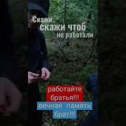 Работайте Братья
