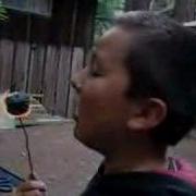 Marshmallow Inanimate Insanity Scream
