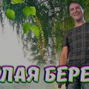 Белая Берёза С Нотками Голоса Юрия Шатунова