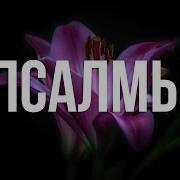 Библия Современный Перевод