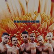 Rammstein Weisses Fleist