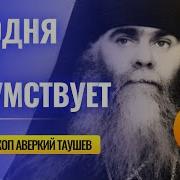 Когда Времени Уже Не Будет Аверкий Таушев