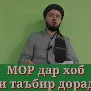 Мор Дар Хоб Газид