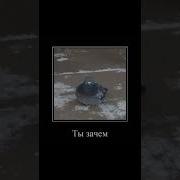 Зачем Ты Съела Чокопай
