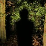 Nick Cave The Bad Seeds We No Who U R
