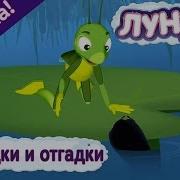 Лунтик И Его Друзья Загадки И Отгадки