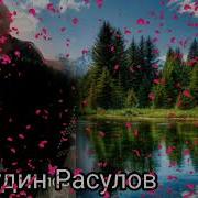 Бадрудин Расулов Все Песни