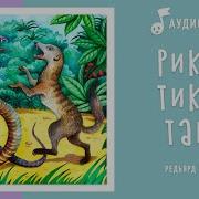 Рики Тики Тави Аудиосказка