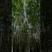 Әй Гүзәл Туган Ягым