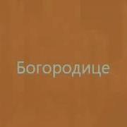 Самир Вишняков Мэ Мангав Дэвлэс