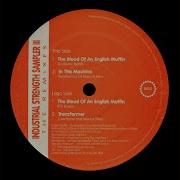 Machines In The Machines Nico Dano Rmx
