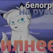 Коты Воители Я Стала Сильнее