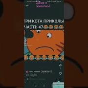 Владимир Башлыкова Подземелье