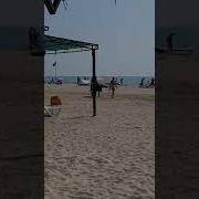 Прикол Девушка И Осел На Пляже