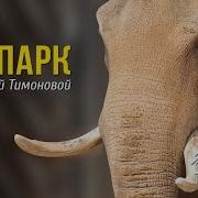 Зоопарк С Тимоновой