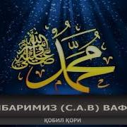 Пайгамбаримиз Сав Вафоти Хакида