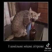 Пачку Цигарив